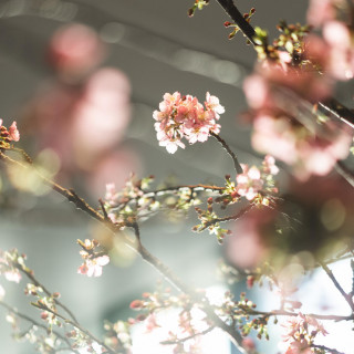 四季折々の美しさを感じながら・・