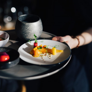 【2日程限定】結婚お祝いディナー×式場見学フェア