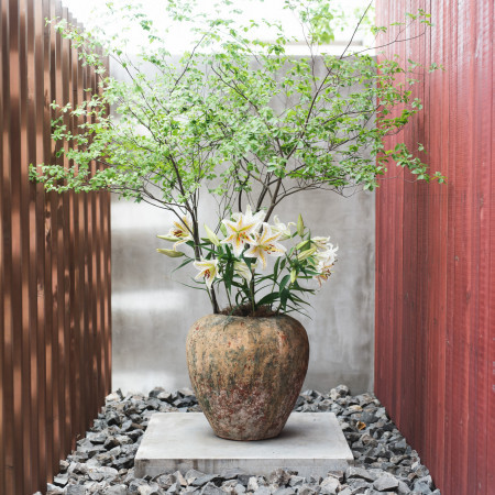季節によって、表情を変える草木たち