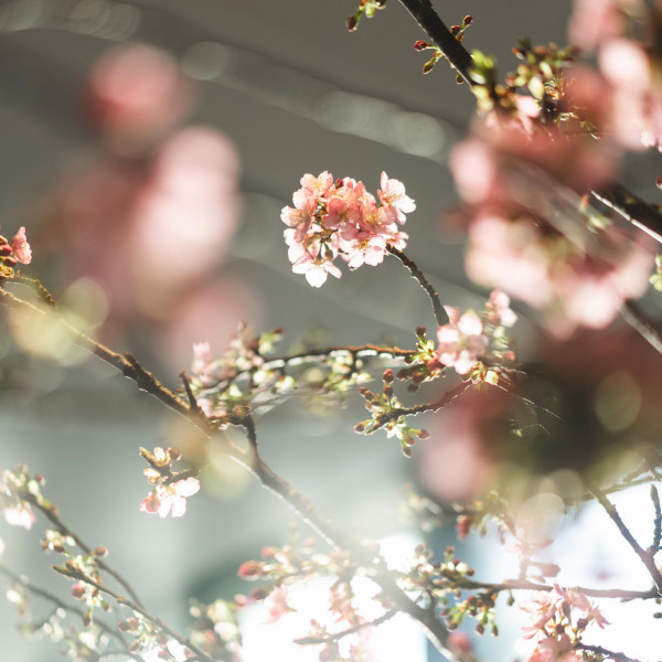 ゲストと一緒にゆったり過ごせるパーティー