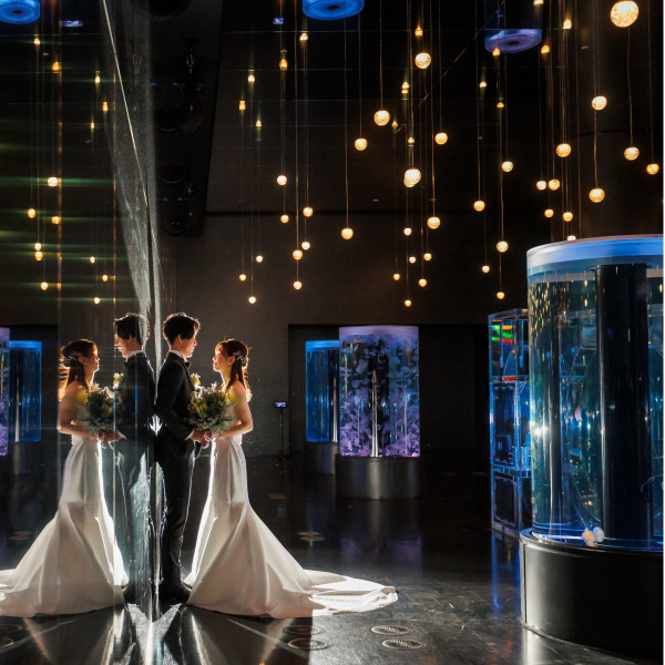 【TOKYO最先端エンターテイメント】多彩な演出で生き物の魅力を伝えるアクアパーク品川での水族館撮影