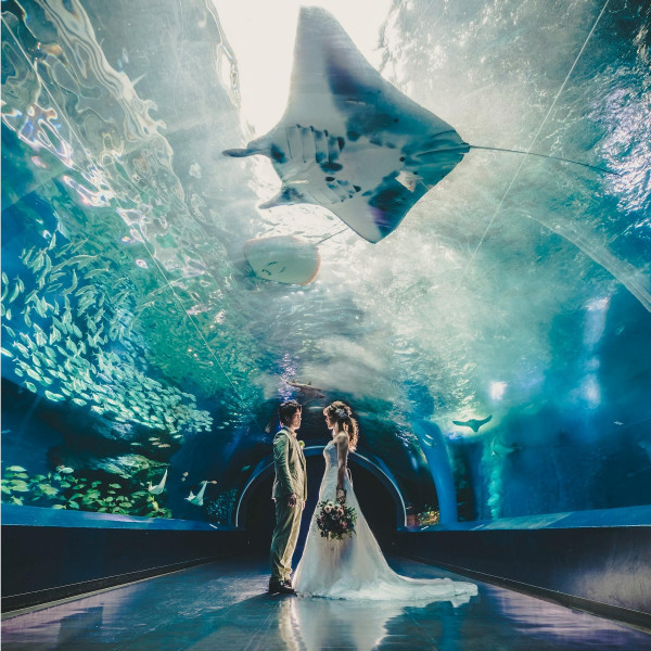 【ホテル内の専用スタジオ】品川プリンスホテル内のSWITCH東京で、上質なフォトウェディングが叶う