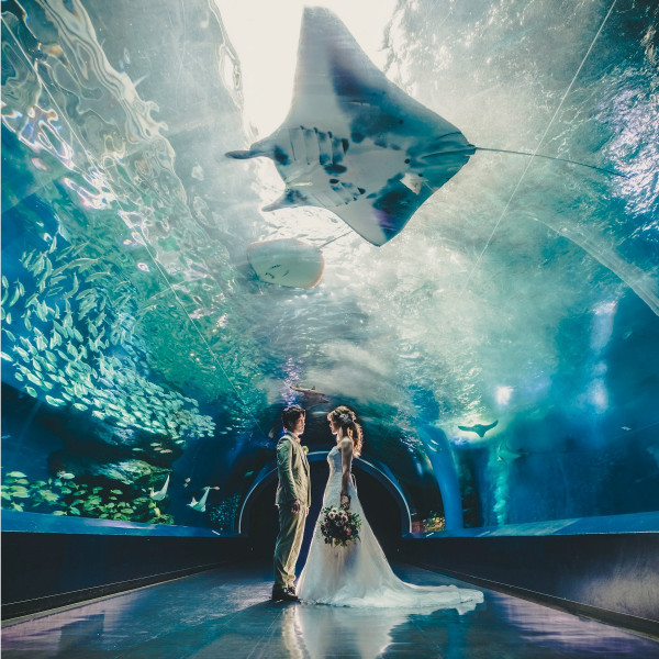 【ホテル内の専用スタジオ】品川プリンスホテル内のSWITCH東京で、上質なフォトウェディングが叶う