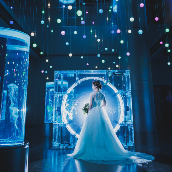 【7つの円柱水槽と演出】ゆらゆら漂うクラゲと、季節や時間毎に変わる音と光で演出された神秘的な世界