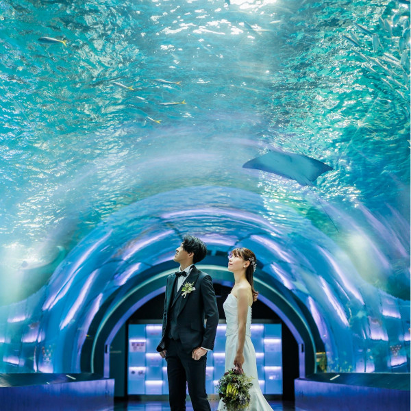 【約20Mの海中トンネル】まるで魚たちと海の中にいるような幻想的な写真が叶う一番人気のスポット