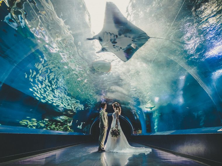 【品川プリンスホテルで叶う】スタジオ・チャペル・水族館撮影＊