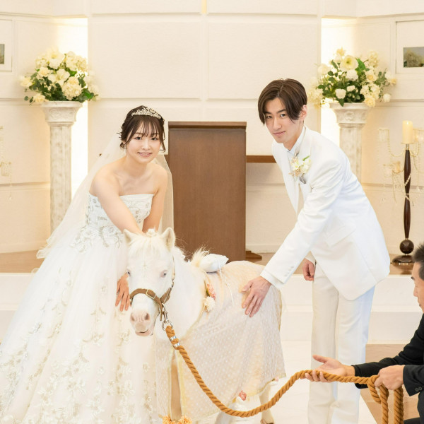 ポニーからリングを受け取る心あたたまるアニマルウエディングも選択肢に