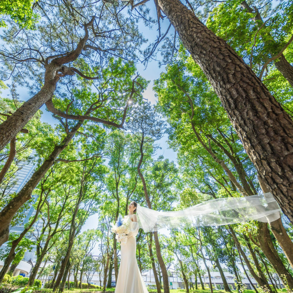 100万本の松林と季節の色鮮やかな草花がおふたりを非日常の世界に誘います