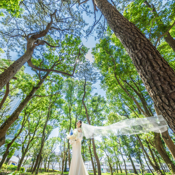 100万本の松林と季節の色鮮やかな草花がおふたりを非日常の世界に誘います