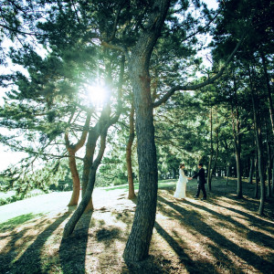 軽井沢のような木々が生い茂るエリア。森の中での写真撮影も人気|葛西臨海公園ウエディング Denim-デニム-の写真(32560178)