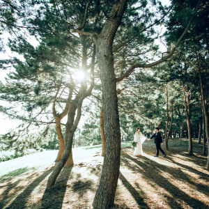 深呼吸したくなるような緑溢れる空間|葛西臨海公園ウエディング Denim-デニム-の写真(40892287)