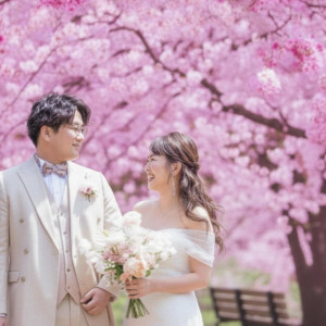 【自己負担0円】桜パーティ―！モニターキャンペーン＊先着2組