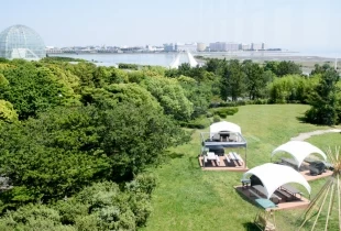 葛西臨海公園ウエディング Denim-デニム-