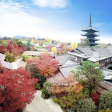 京都東山 艸堂