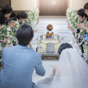 愛しいペットも挙式の主役に。大聖堂でのリングドックは限られた式場のみの演出になります。|ガーデンテラス福岡ホテル&リゾートの写真(50339685)