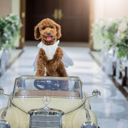 ガーデンテラス福岡ホテル&リゾート