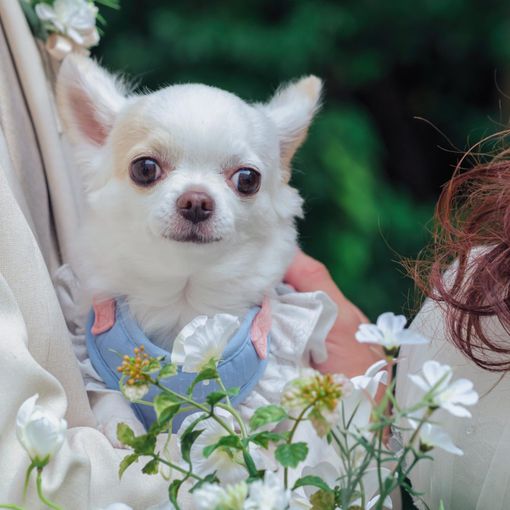 アールベルアンジェ四日市の結婚式の公式写真（2枚目）