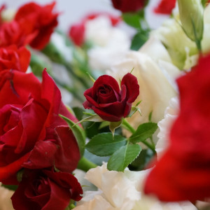 真っ赤なバラの花は会場を一気に華やかな雰囲気にします。|ゲストハウス気仙沼アーバンの写真(9021378)