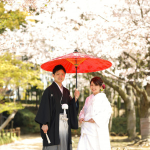 桜とともに・・・|Wグランラセーレ岡山の写真(5940709)