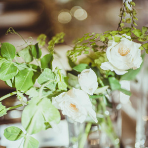 コーディネート|KITAHAMA W(キタハマダブリュー)の写真(56645527)