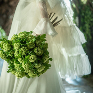 コーディネート|KITAHAMA W(キタハマダブリュー)の写真(56645481)