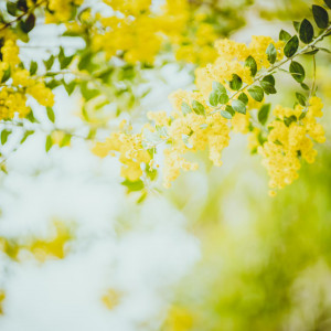 コーディネート|KITAHAMA W(キタハマダブリュー)の写真(56645525)