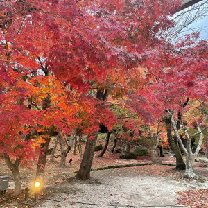 神灯り挙式の幻想的な雰囲気の中、ひと味違う結婚式が叶う|HOTEL CULTIA 太宰府（ホテルカルティアダザイフ）の写真(18777508)