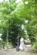 代々木八幡宮（アントワープブライダル）