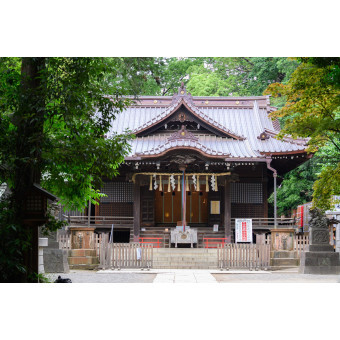 代々木八幡宮(アントワープブライダル)