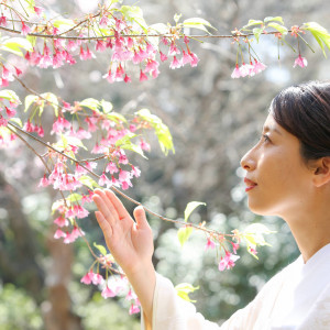 桜、新緑、紅葉など四季折々の美しい表情を見せる境内|代々木八幡宮（アントワープブライダル）の写真(39497067)