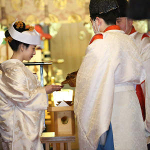 昔ながらの三献の儀で厳かな神前式を。|代々木八幡宮(アントワープブライダル)の写真(55910233)