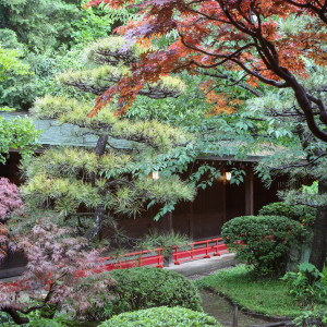 神社の境内は季節ごとの四季折々の木々や花々が咲き誇ります。写真撮影の背景は都会とは思えない緑豊かな写真を撮影することができます。|代々木八幡宮（アントワープブライダル）の写真(31770147)