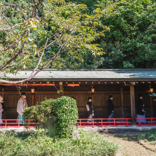 結婚式が行われる本殿へ続くアプローチは、代々木の杜に囲まれた回廊を参進します。