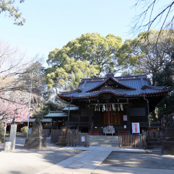 参道を抜けると厳かな神社がお二人をお出迎え。四季折々のロケーションでの撮影が好評