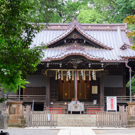 代々木八幡宮（アントワープブライダル）