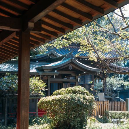 800年の歴史をもつ代々木八幡宮。都会の喧騒を忘れさせる、緑豊かなロケーション。日本古来の正統和装結婚式でお二人もゲストも思い出深い1日に。|代々木八幡宮（アントワープブライダル）の写真(22224215)