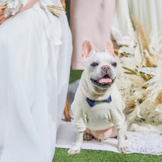 【ペットも一緒に】1組貸切りだから叶う♪オリジナルW相談会