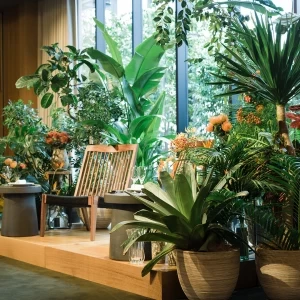 FLORIST：仲村 宙|エースホテル京都 （Ace Hotel Kyoto）の写真(18863885)
