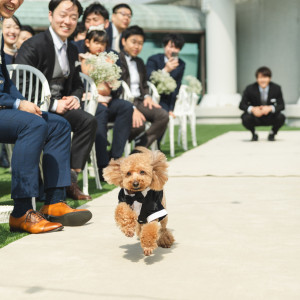 大切なペットと一緒に挙式も可能|OCEAN PLACE（オーシャンプレイス）の写真(55621442)