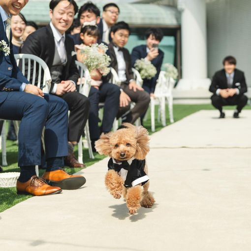 OCEAN PLACE（オーシャンプレイス）の結婚式の公式写真（1枚目）