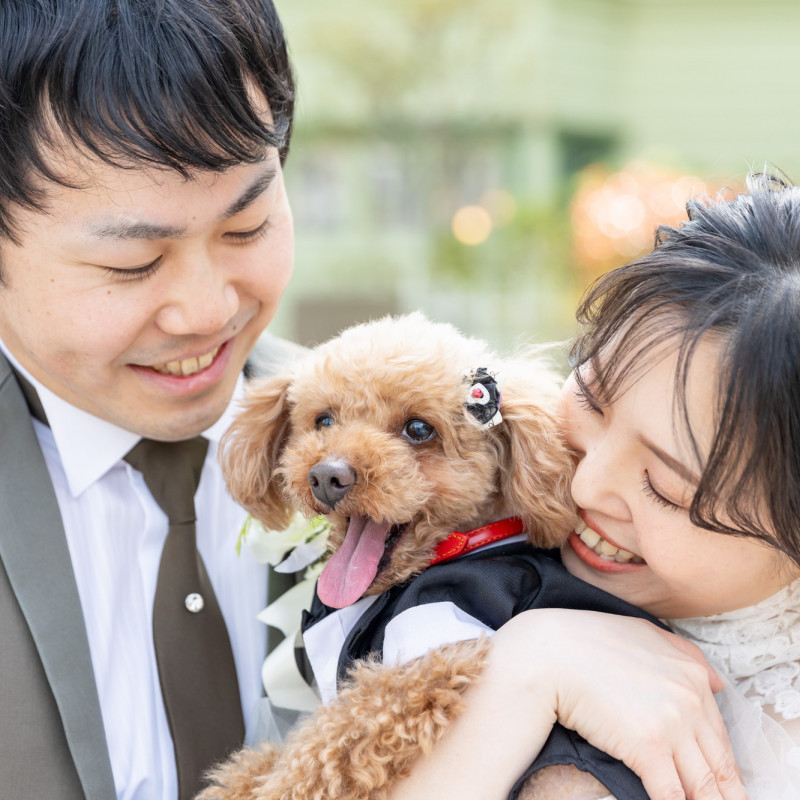 トップ 神戸 結婚 式 ペット