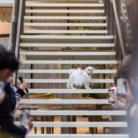 THE SEASONS LANDMARK KOBE KITANO　ザシーズンズランドマーク神戸北野