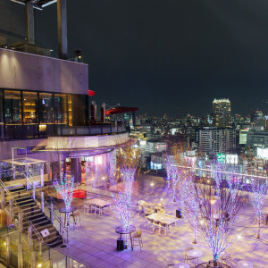 700坪の広大な敷地だから叶う、自分達だけの演出|CÉ LA VI TOKYO（セラヴィ東京）の写真(11679633)