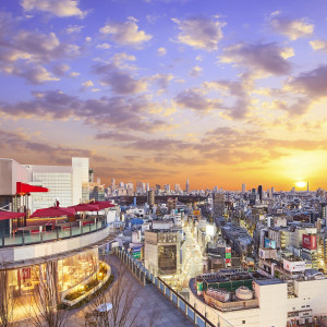 700坪の広大な敷地から東京の街並みを見下ろせるロケーション|CÉ LA VI TOKYO（セラヴィ東京）の写真(9427051)