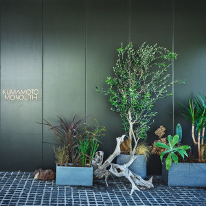 緑と光に包まれた一軒家でふたりらしい一日を|KUMAMOTO MONOLITH（熊本モノリス）の写真(55435843)