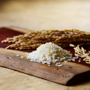 その年の、季節、場所で最良の食材を追求する|KUMAMOTO MONOLITH（熊本モノリス）の写真(55436392)