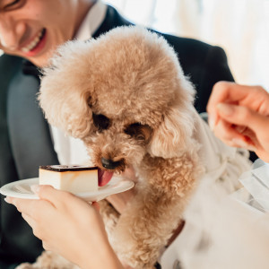 ペットのケーキ演出も会場OKのトレスならでは♪専用ケーキの持込もOK|THE TRES TOKONAME（ザ・トレス 常滑）の写真(49531283)