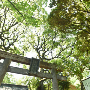 【赤坂氷川神社】|赤坂 氷川神社の写真(9210050)