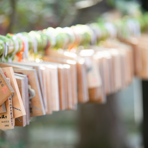 【赤坂氷川神社】境内|赤坂 氷川神社の写真(9210069)