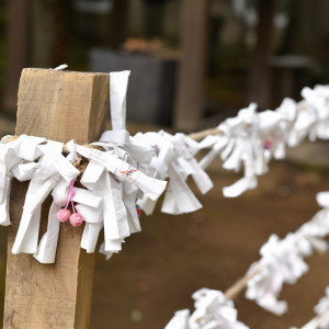 【赤坂氷川神社】境内|赤坂 氷川神社の写真(51383907)